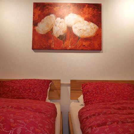 Ruhiges Apartment Nuernberg Sued Ost - Naehe Messe - Mit Wallbox Εξωτερικό φωτογραφία